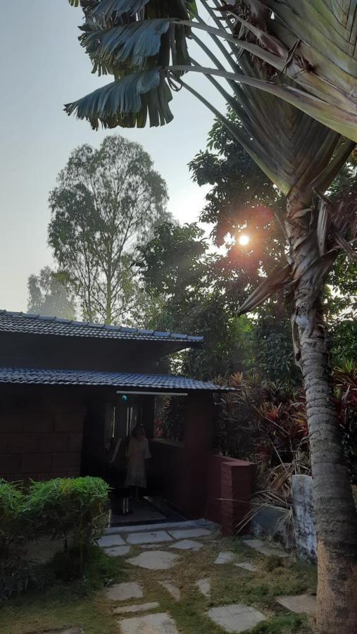 Anandvan Holiday Homes, Wai ภายนอก รูปภาพ